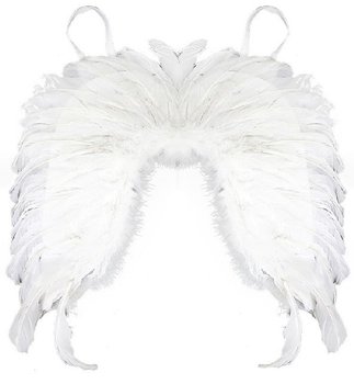 Křídla andělská peří karneval, párty, vánoce