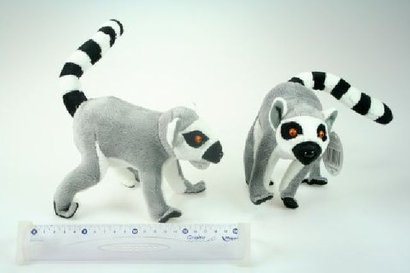 * Lemur ply 17 cm