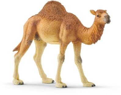 * Schleich 14832 dromedr