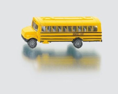 * Americk koln autobus 1319 SIKU 1, 50