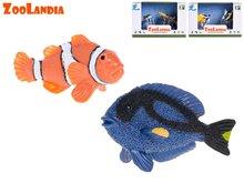 Zoolandia mořská zvířatka ryby