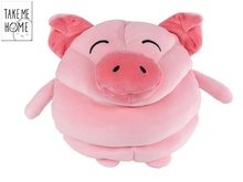 Take Me Home prase ply 22cm 0m+
