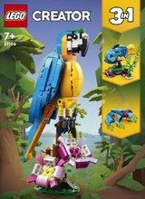 * LEGO Creator 3v1 31136 Exotick papouek