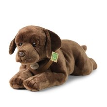 * Plyov pes labrador hnd 61 cm