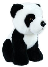 * Panda ply sedc,18cm