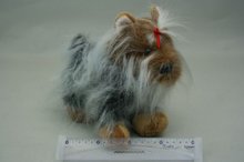 * Pes plys jorksihre 25cm