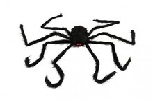 Pavouk velk ply 125x8cm v sku na halloween